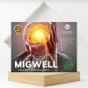 Migwell